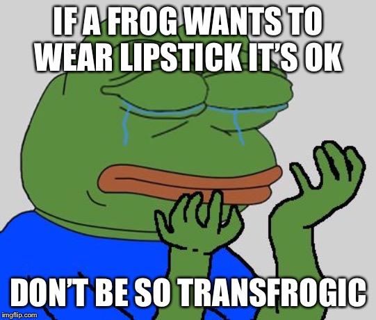 pepe cry | IF A FROG WANTS TO WEAR LIPSTICK IT’S OK; DON’T BE SO TRANSFROGIC | image tagged in pepe cry | made w/ Imgflip meme maker