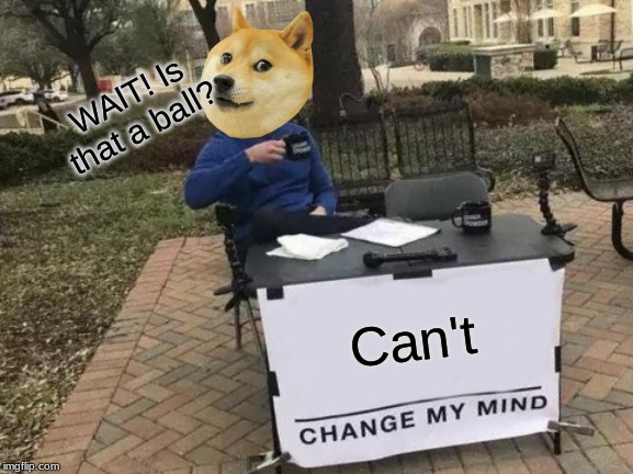 Change My Mind | WAIT! Is that a ball? Can't | image tagged in memes,change my mind | made w/ Imgflip meme maker