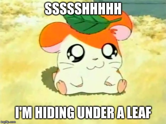 Hamtaro | SSSSSHHHHH; I'M HIDING UNDER A LEAF | image tagged in memes,hamtaro | made w/ Imgflip meme maker