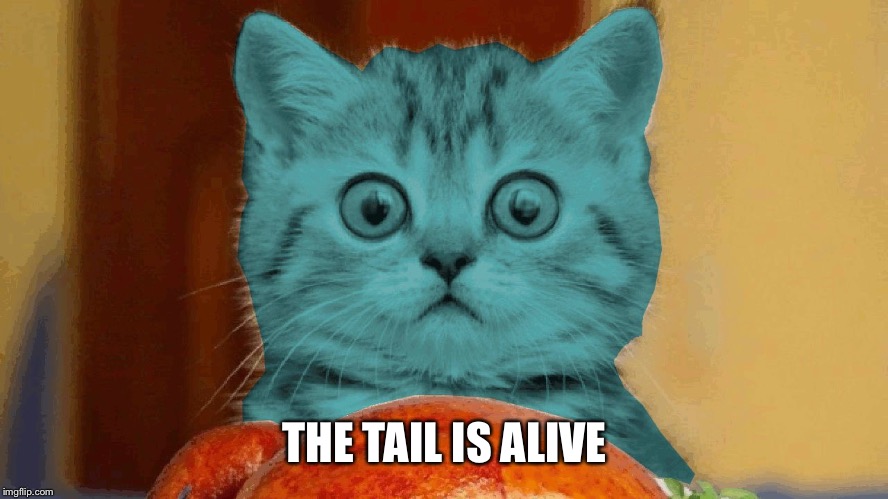 RayCat surprised | THE TAIL IS ALIVE | image tagged in raycat surprised | made w/ Imgflip meme maker