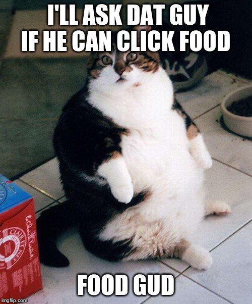 fat cat | I'LL ASK DAT GUY IF HE CAN CLICK FOOD; FOOD GUD | image tagged in fat cat | made w/ Imgflip meme maker