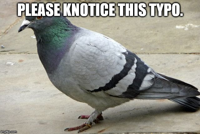popular opinion pidgeon | PLEASE KNOTICE THIS TYPO. | image tagged in popular opinion pidgeon | made w/ Imgflip meme maker