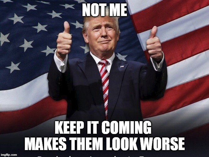 Donald Trump Thumbs Up | NOT ME KEEP IT COMING 
MAKES THEM LOOK WORSE | image tagged in donald trump thumbs up | made w/ Imgflip meme maker
