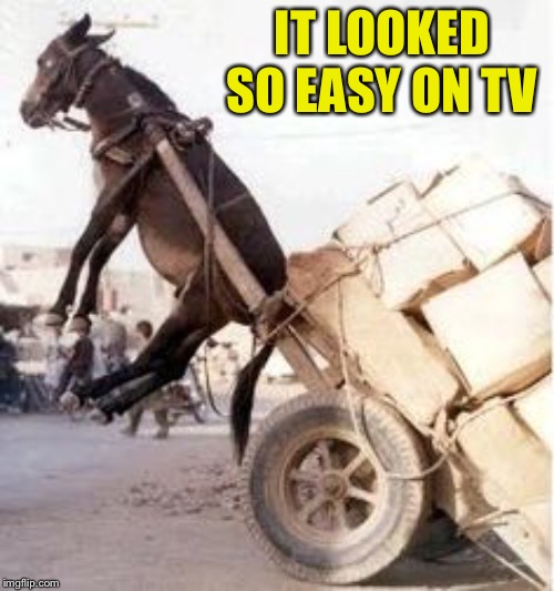 Overloaded donkey | IT LOOKED SO EASY ON TV | image tagged in overloaded donkey | made w/ Imgflip meme maker