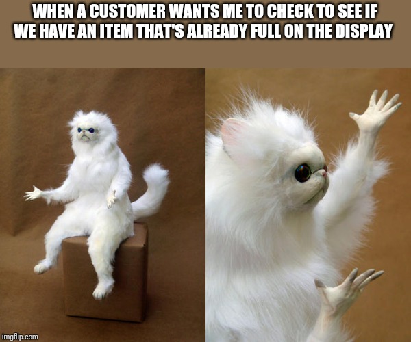 Persian Cat Room Guardian Meme | WHEN A CUSTOMER WANTS ME TO CHECK TO SEE IF WE HAVE AN ITEM THAT'S ALREADY FULL ON THE DISPLAY | image tagged in memes,persian cat room guardian | made w/ Imgflip meme maker