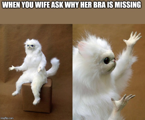 Persian Cat Room Guardian | WHEN YOU WIFE ASK WHY HER BRA IS MISSING | image tagged in memes,persian cat room guardian | made w/ Imgflip meme maker