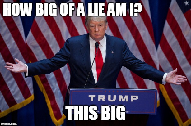 Donald Trump | HOW BIG OF A LIE AM I? THIS BIG | image tagged in donald trump | made w/ Imgflip meme maker