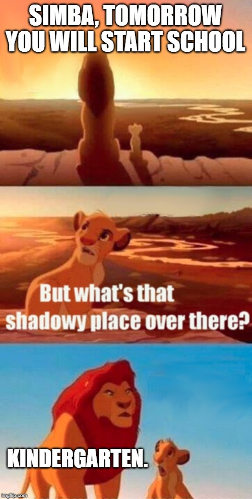 Simba Shadowy Place | SIMBA, TOMORROW YOU WILL START SCHOOL; KINDERGARTEN. | image tagged in memes,simba shadowy place | made w/ Imgflip meme maker