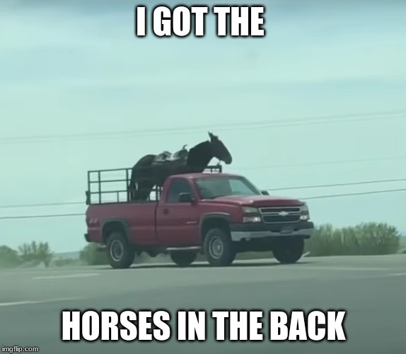 old town road , remember that? | I GOT THE; HORSES IN THE BACK | image tagged in old town road | made w/ Imgflip meme maker