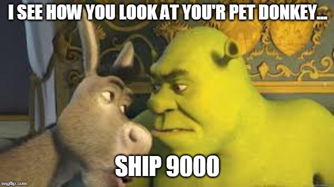 DonkeyShrekPowers | I SEE HOW YOU LOOK AT YOU'R PET DONKEY... SHIP 9000 | image tagged in shrek | made w/ Imgflip meme maker