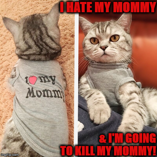 I HATE YOU | I HATE MY MOMMY; & I'M GOING TO KILL MY MOMMY! | image tagged in i hate you | made w/ Imgflip meme maker