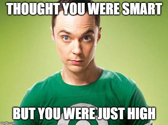 smart guy | THOUGHT YOU WERE SMART; BUT YOU WERE JUST HIGH | image tagged in the big bang theory,sheldon cooper,too damn high,rised brow,smart | made w/ Imgflip meme maker