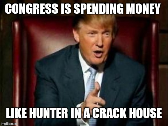 Donald Trump | CONGRESS IS SPENDING MONEY; LIKE HUNTER IN A CRACK HOUSE | image tagged in donald trump | made w/ Imgflip meme maker