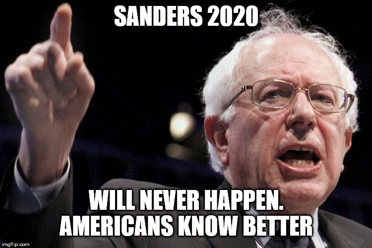 Bernie Sanders | SANDERS 2020; WILL NEVER HAPPEN. AMERICANS KNOW BETTER | image tagged in bernie sanders | made w/ Imgflip meme maker