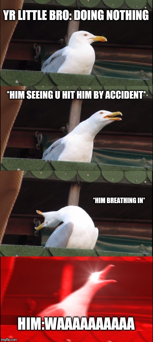 Inhaling Seagull | YR LITTLE BRO: DOING NOTHING; *HIM SEEING U HIT HIM BY ACCIDENT*; *HIM BREATHING IN*; HIM:WAAAAAAAAAA | image tagged in memes,inhaling seagull | made w/ Imgflip meme maker
