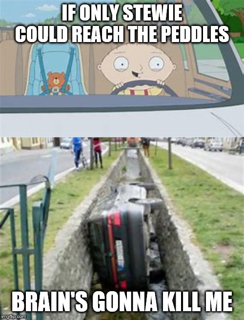 He couldn't reach it | IF ONLY STEWIE COULD REACH THE PEDDLES; BRAIN'S GONNA KILL ME | image tagged in family guy,stewie griffin,brian griffin,funny car crash,cartoon logic | made w/ Imgflip meme maker