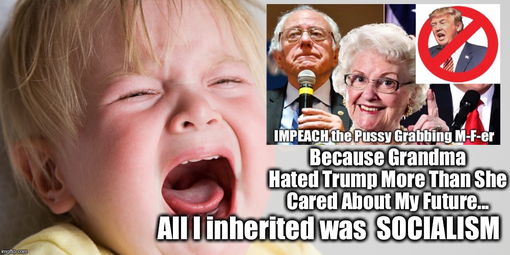 Because Grandma Hated Trump More Than She Cared About My Future... All I Inherited Was SOCIALISM | Because Grandma Hated Trump More Than She Cared About My Future... All I inherited was  SOCIALISM | image tagged in memes,impeach trump,impeachment,impeach,resist,never trump | made w/ Imgflip meme maker