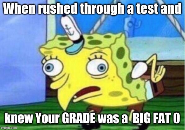 Mocking Spongebob Meme |  When rushed through a test and; knew Your GRADE was a  BIG FAT 0 | image tagged in memes,mocking spongebob | made w/ Imgflip meme maker