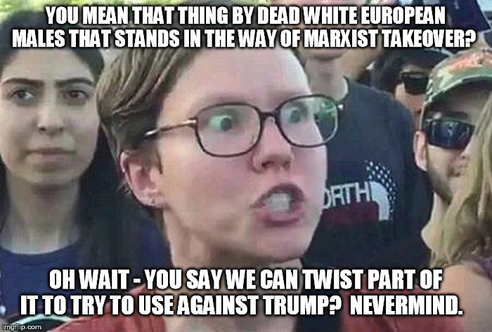 Triggered Liberal | YOU MEAN THAT THING BY DEAD WHITE EUROPEAN MALES THAT STANDS IN THE WAY OF MARXIST TAKEOVER? OH WAIT - YOU SAY WE CAN TWIST PART OF IT TO TR | image tagged in triggered liberal | made w/ Imgflip meme maker