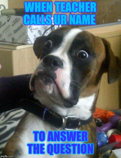 Blankie the Shocked Dog | WHEN TEACHER CALLS UR NAME; TO ANSWER THE QUESTION | image tagged in blankie the shocked dog | made w/ Imgflip meme maker