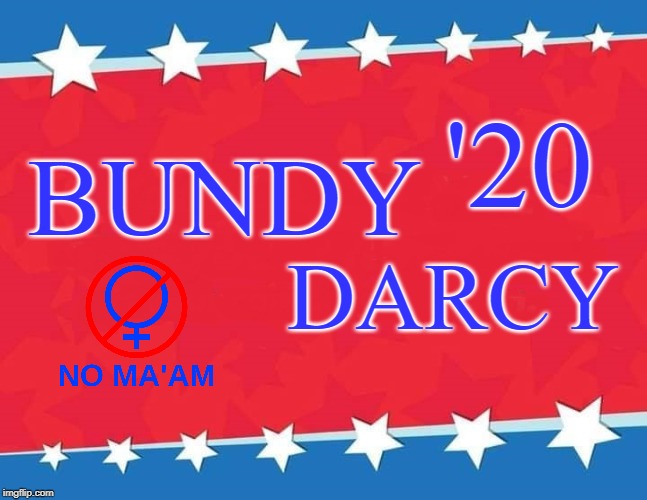 campaign poster | '20; BUNDY; DARCY | image tagged in campaign poster,election 2020,al bundy | made w/ Imgflip meme maker