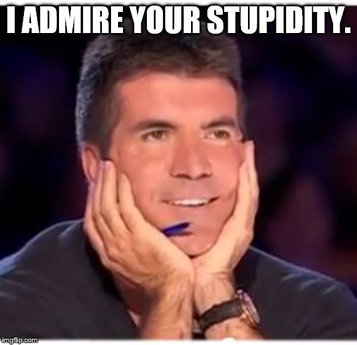 Simon Cowell | I ADMIRE YOUR STUPIDITY. | image tagged in simon cowell | made w/ Imgflip meme maker