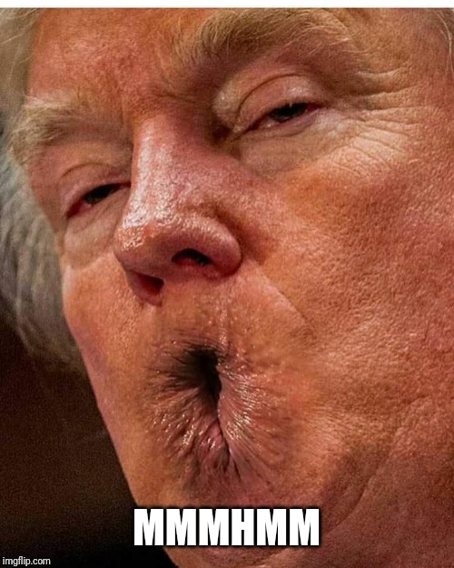 trump butthole mouth | MMMHMM | image tagged in trump butthole mouth | made w/ Imgflip meme maker