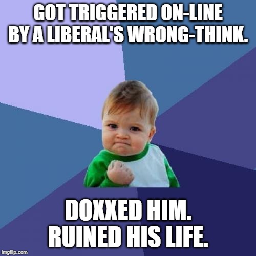 Success Kid | GOT TRIGGERED ON-LINE BY A LIBERAL'S WRONG-THINK. DOXXED HIM. RUINED HIS LIFE. | image tagged in memes,success kid | made w/ Imgflip meme maker