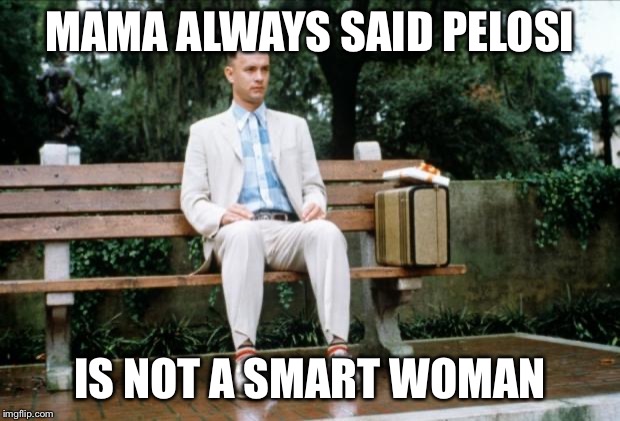 Forrest Gump | MAMA ALWAYS SAID PELOSI IS NOT A SMART WOMAN | image tagged in forrest gump | made w/ Imgflip meme maker