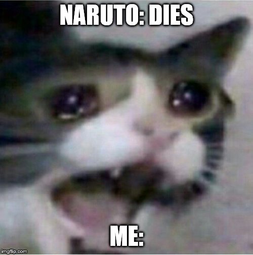 crying cat | NARUTO: DIES; ME: | image tagged in crying cat | made w/ Imgflip meme maker