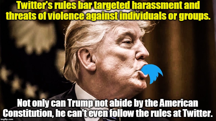 Don't play with your food. | Twitter's rules bar targeted harassment and threats of violence against individuals or groups. Not only can Trump not abide by the American Constitution, he can't even follow the rules at Twitter. | image tagged in trump twitter,harassment,violence,constitution,incitement,spelling | made w/ Imgflip meme maker