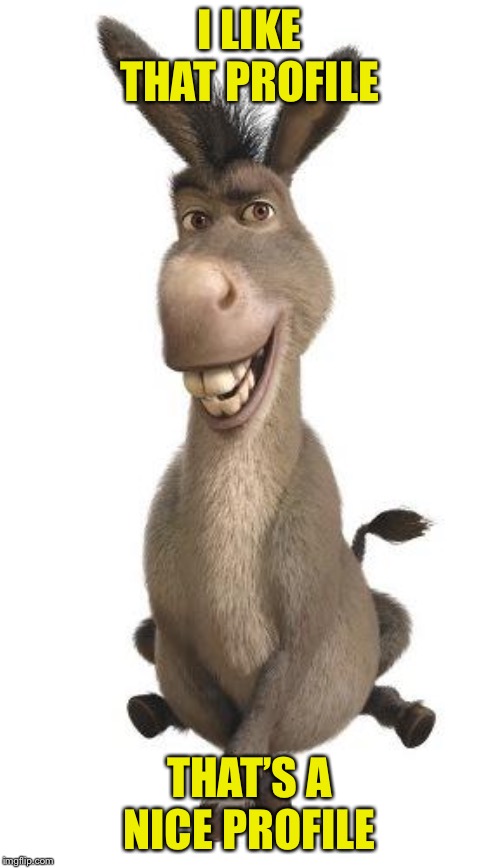 Donkey from Shrek | I LIKE THAT PROFILE THAT’S A NICE PROFILE | image tagged in donkey from shrek | made w/ Imgflip meme maker
