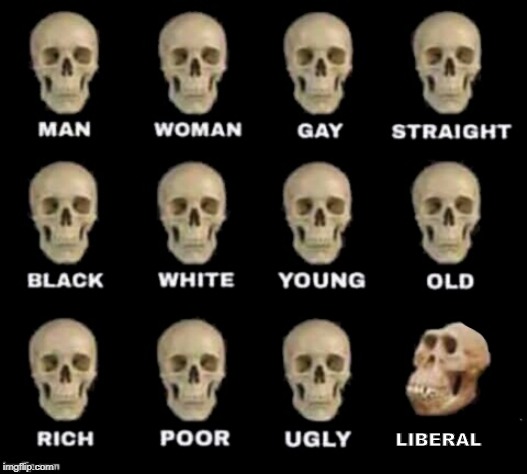 idiot skull | LIBERAL | image tagged in idiot skull | made w/ Imgflip meme maker