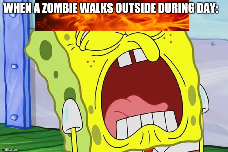  WHEN A ZOMBIE WALKS OUTSIDE DURING DAY: | image tagged in minecraft,burning,zombie | made w/ Imgflip meme maker