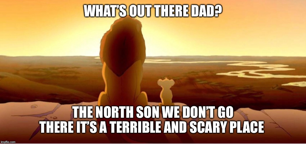 WHAT’S OUT THERE DAD? THE NORTH SON WE DON’T GO THERE IT’S A TERRIBLE AND SCARY PLACE | image tagged in lion king,north,southern pride | made w/ Imgflip meme maker