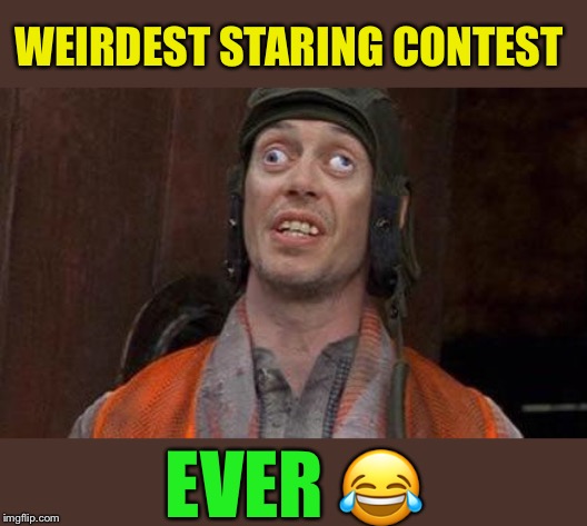 Looks Good To Me | WEIRDEST STARING CONTEST EVER ? | image tagged in looks good to me | made w/ Imgflip meme maker