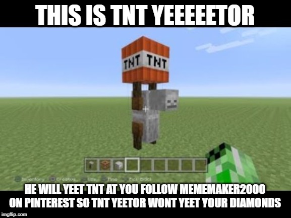 THIS IS TNT YEEEEETOR; HE WILL YEET TNT AT YOU FOLLOW MEMEMAKER2000 ON PINTEREST SO TNT YEETOR WONT YEET YOUR DIAMONDS | made w/ Imgflip meme maker