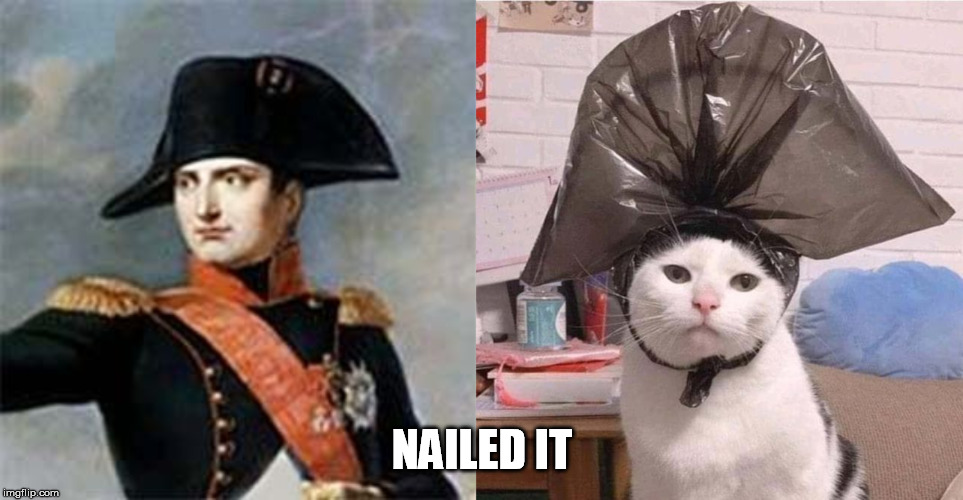 NAILED IT | image tagged in napoleon bonaparte,nailed it,cat,hat | made w/ Imgflip meme maker