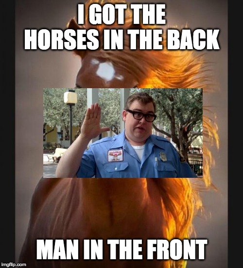 Horse | I GOT THE HORSES IN THE BACK; MAN IN THE FRONT | image tagged in horse | made w/ Imgflip meme maker