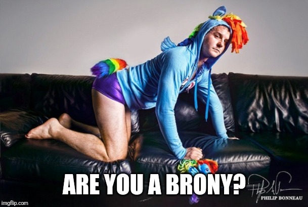 Bronies for Clinton | ARE YOU A BRONY? | image tagged in bronies for clinton | made w/ Imgflip meme maker