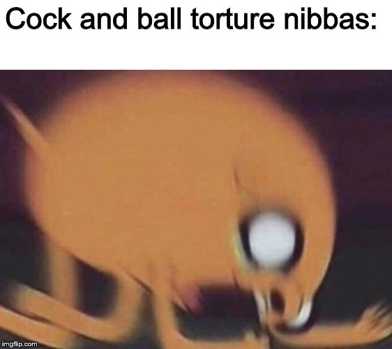 jake screech | Cock and ball torture nibbas: | image tagged in jake screech | made w/ Imgflip meme maker