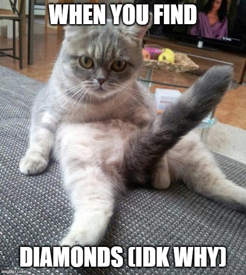 Sexy Cat | WHEN YOU FIND; DIAMONDS (IDK WHY) | image tagged in memes,sexy cat | made w/ Imgflip meme maker