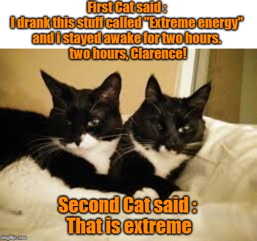 Two cat chatting | First Cat said : 
I drank this stuff called "Extreme energy" 
and i stayed awake for two hours. 
two hours, Clarence! Second Cat said : 
That is extreme | image tagged in cats | made w/ Imgflip meme maker