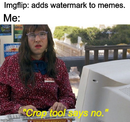 Computer says no - Little Britain | Imgflip: adds watermark to memes. Me:; "Crop tool says no." | image tagged in computer says no,memes,imgflip,little britain | made w/ Imgflip meme maker