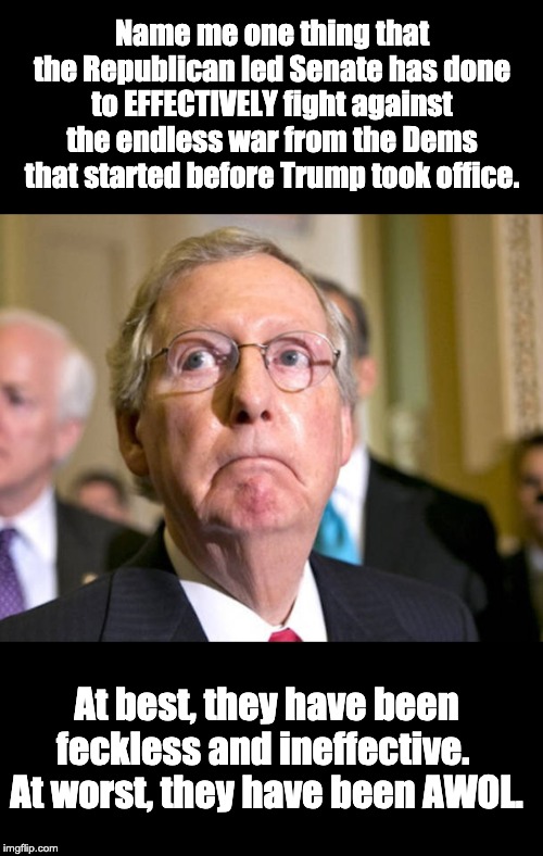 Yep...  They hold hearings. | Name me one thing that the Republican led Senate has done to EFFECTIVELY fight against the endless war from the Dems that started before Trump took office. At best, they have been feckless and ineffective.  At worst, they have been AWOL. | image tagged in mitch mcconnell | made w/ Imgflip meme maker