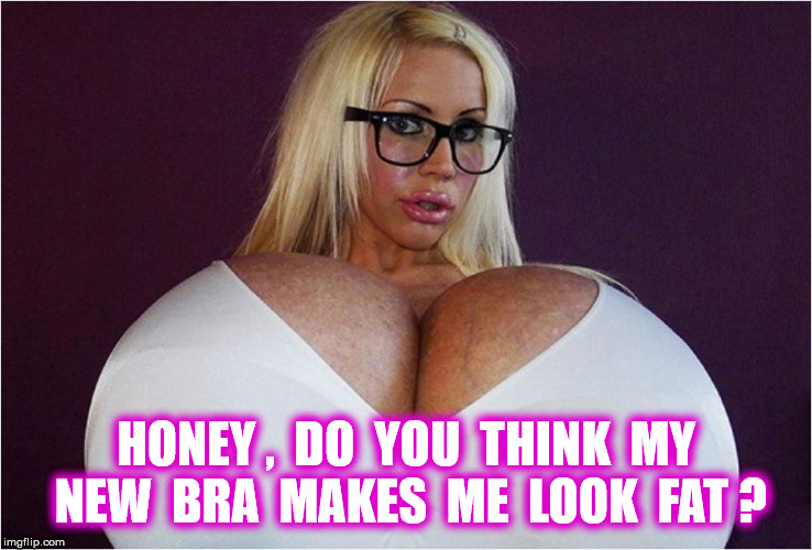 HONEY ,  DO  YOU  THINK  MY  NEW  BRA  MAKES  ME  LOOK  FAT ? | made w/ Imgflip meme maker