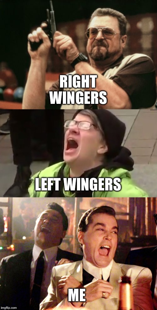 RIGHT WINGERS; LEFT WINGERS; ME | image tagged in memes,am i the only one around here,good fellas hilarious,screaming liberal | made w/ Imgflip meme maker