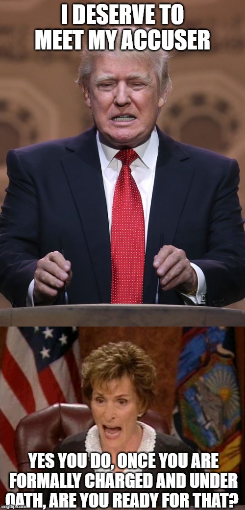 Crybaby, lying, destructive, idiot putting peoples lives in danger | I DESERVE TO MEET MY ACCUSER; YES YOU DO, ONCE YOU ARE FORMALLY CHARGED AND UNDER OATH, ARE YOU READY FOR THAT? | image tagged in judge judy,donald trump,impeach trump,maga,politics,treason | made w/ Imgflip meme maker
