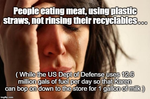 People eating meat | People eating meat, using plastic straws, not rinsing their recyclables . . . ( While the US Dept of Defense uses 12.6 million gals of fuel per day so that Karen can bop on down to the store for 1 gallon of milk ) | image tagged in first world problems,recycling | made w/ Imgflip meme maker
