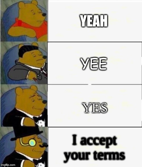 Tuxedo Winnie the Pooh 4 panel | YEAH; YEE; YES; I accept your terms | image tagged in tuxedo winnie the pooh 4 panel | made w/ Imgflip meme maker